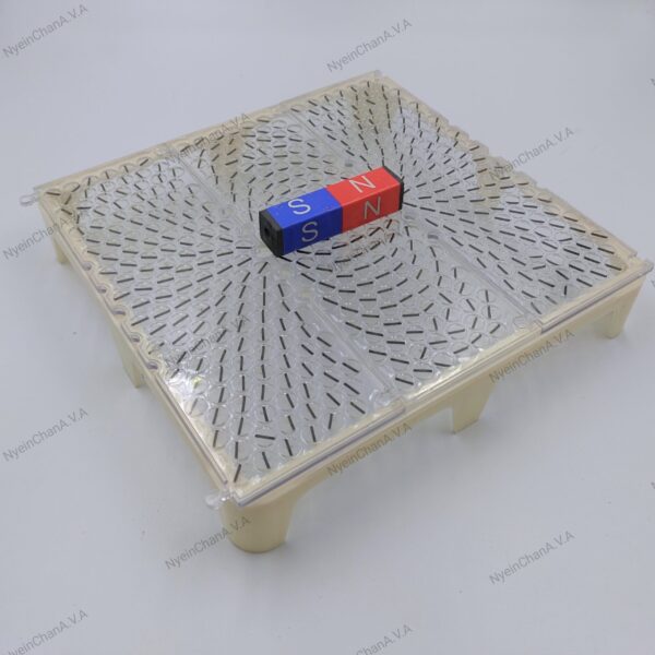 15019 Magnetic field demonstrator (1) Magnetic Field Demonstrator