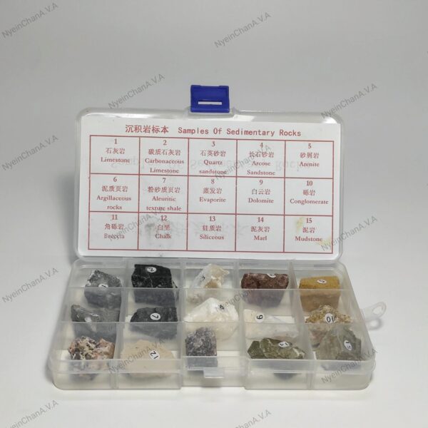 50033 Sedimentary rock Type of Rock
