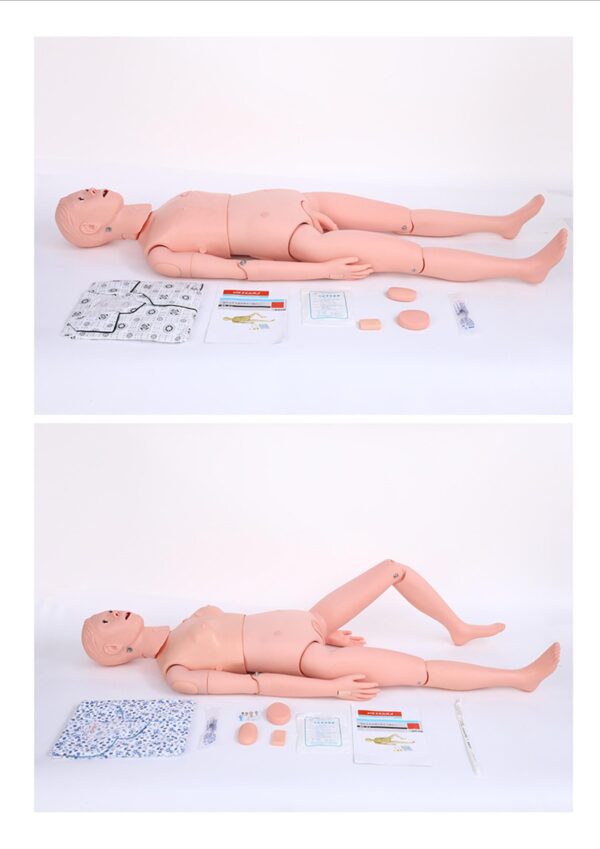 Male Female Nursing Training Teaching Model